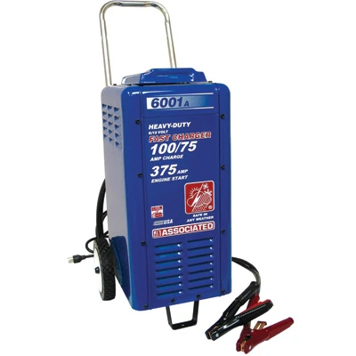 Associated 6/12V Heavy-Duty Battery Charger (6001A)