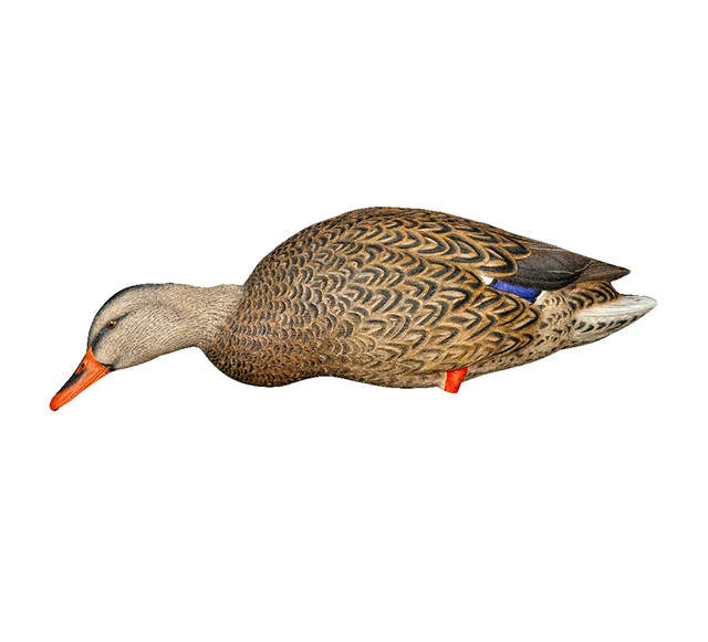 Avian-X AXP Full Body Mallards Fusion Pack (8061) — product image 3
