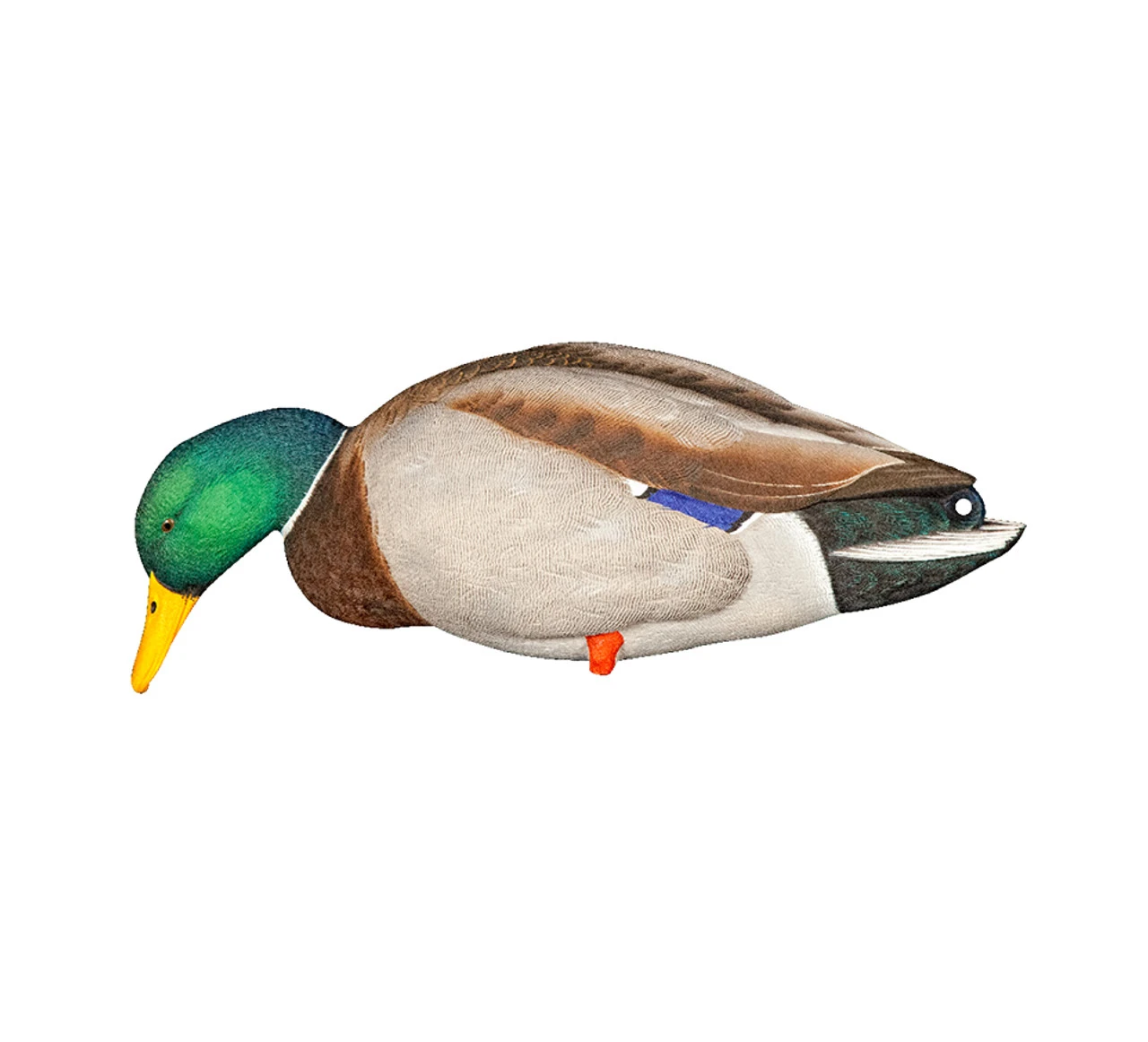 Avian-X AXP Full Body Mallards Fusion Pack (8061) — product image 4