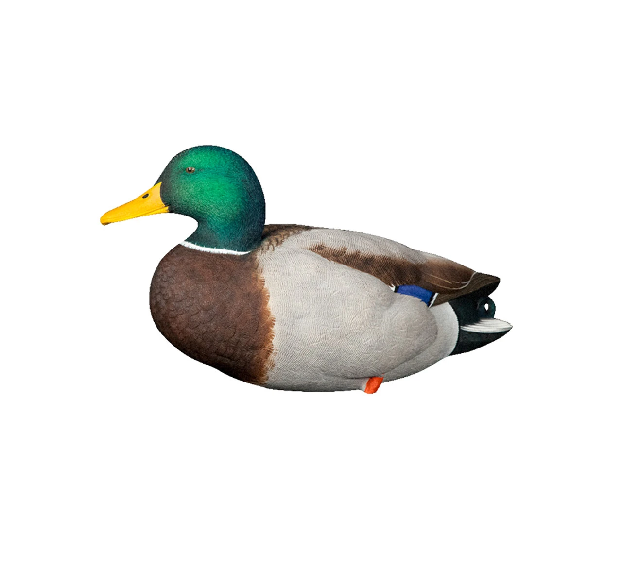 Avian-X AXP Full Body Mallards Fusion Pack (8061) — product image 6