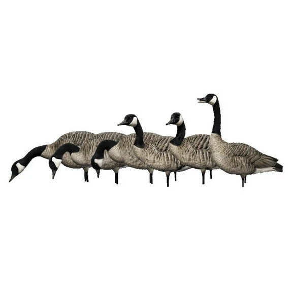 Avian X AXP Fusion Honker Goose Decoy Pack (AVX9006)