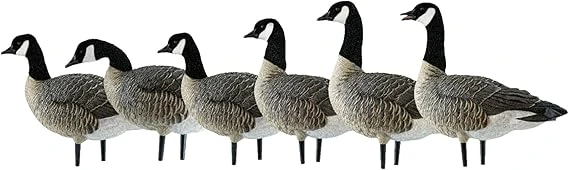 Avian-X AXP LESSERS Active Pack Goose Decoys (AVX9008)