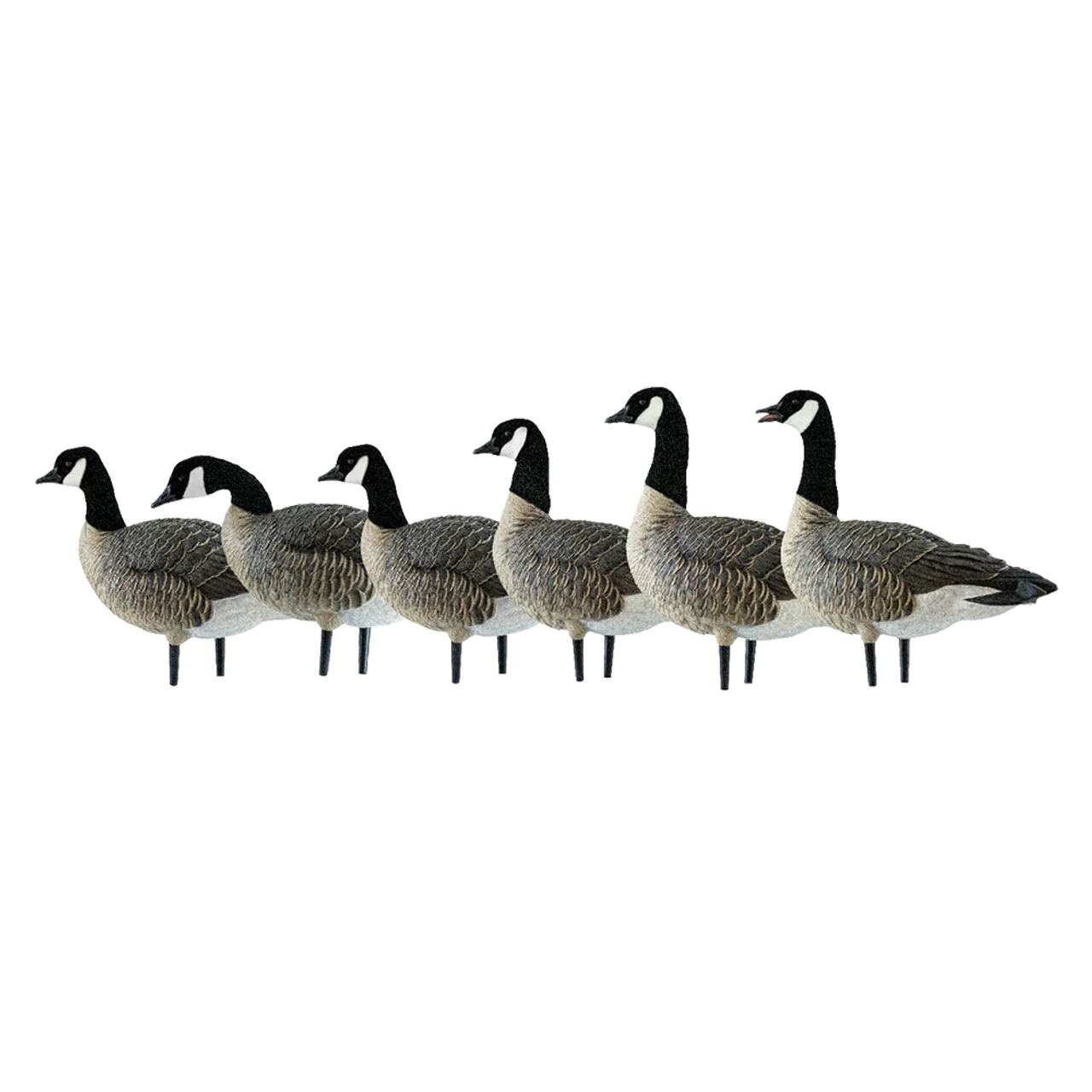 Avian-X AXP LESSERS Active Pack Goose Decoys (AVX9008) — product image 3