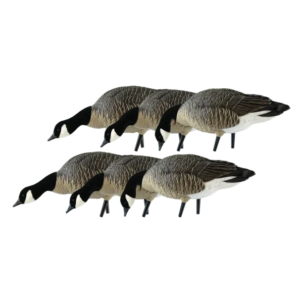 Avian-X AXP LESSERS Feeder Pack (9007)
