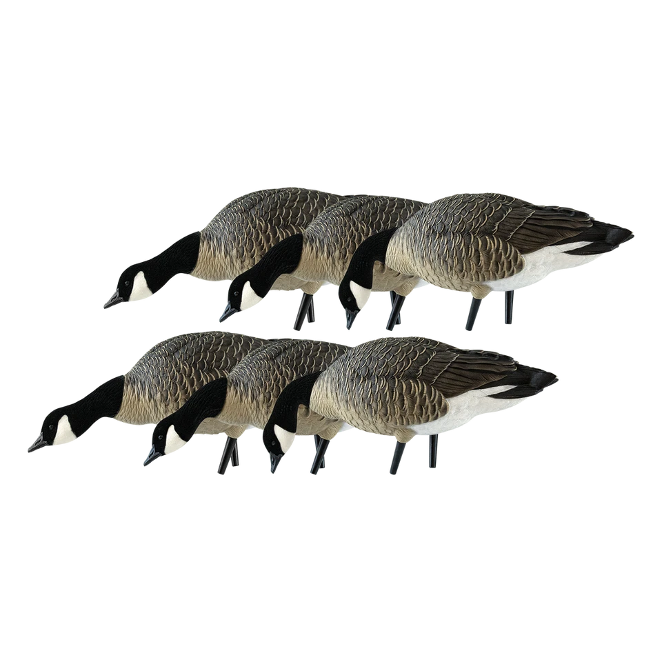 Avian-X AXP LESSERS Feeder Pack (9007)