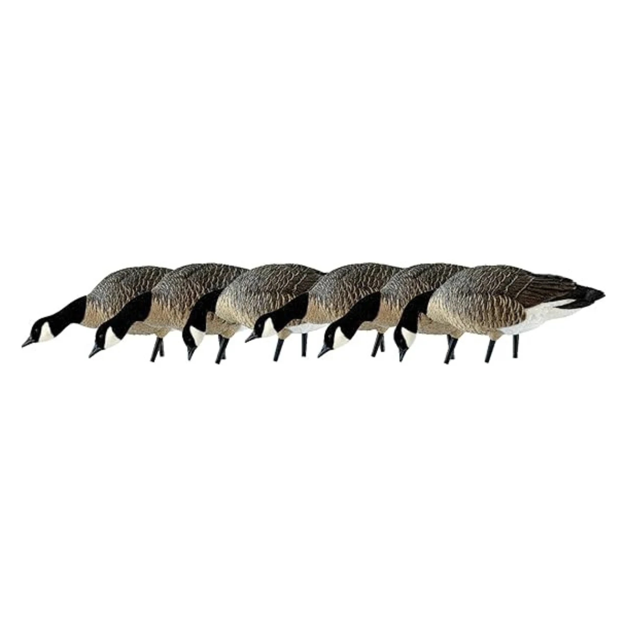 Avian-X AXP LESSERS Feeder Pack (9007) — product image 2