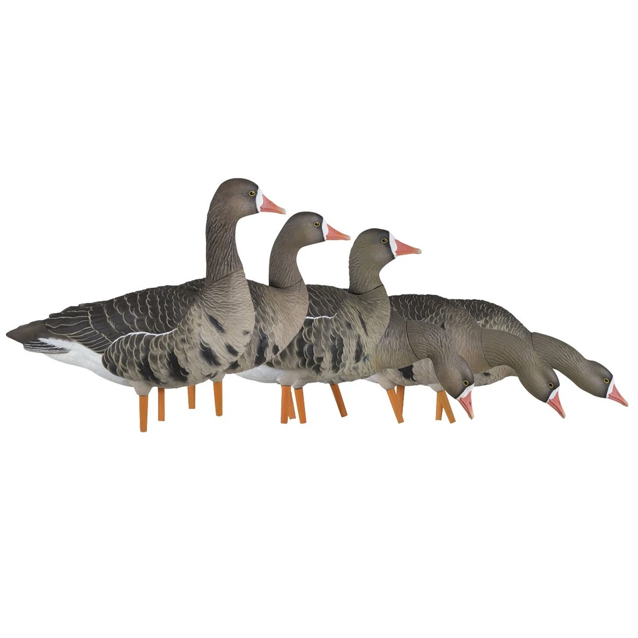 Avian X AXP Specklebelly Decoy Fusion Pack, 18 Pack (AVX9014) — product image 2