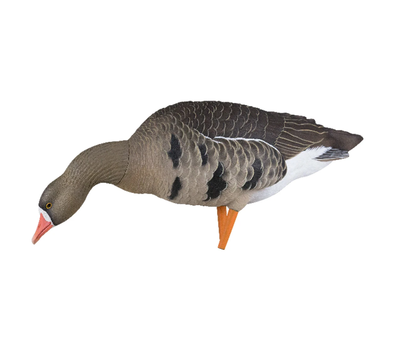 Avian X AXP Specklebelly Decoy Fusion Pack, 18 Pack (AVX9014) — product image 4