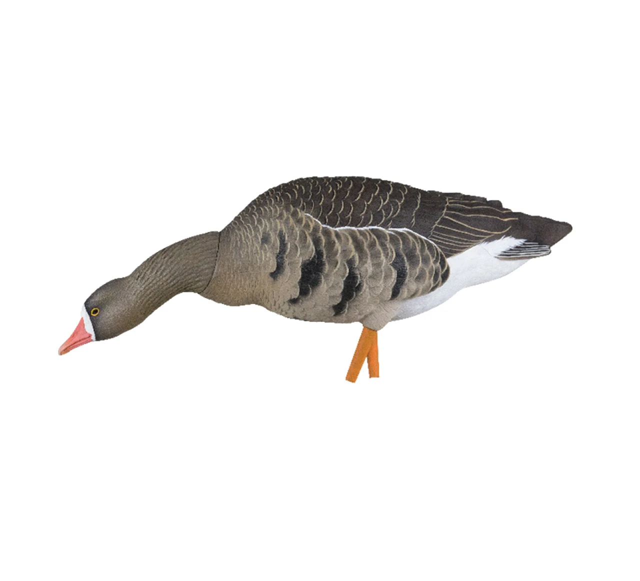 Avian X AXP Specklebelly Decoy Fusion Pack, 18 Pack (AVX9014) — product image 7