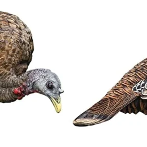 Avian-X LCD Feeder Hen & Lookout Hen Turkey Decoy Set (B0D2CP9XPF)