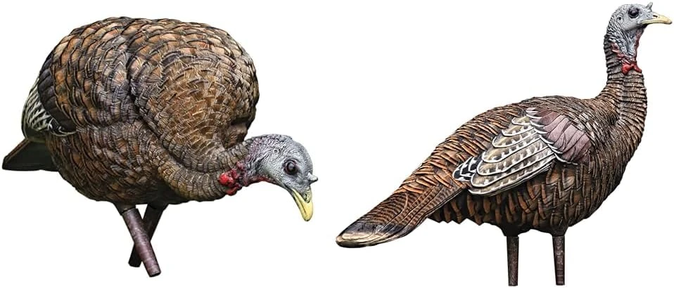 Avian-X LCD Feeder Hen & Lookout Hen Turkey Decoy Set (B0D2CP9XPF)