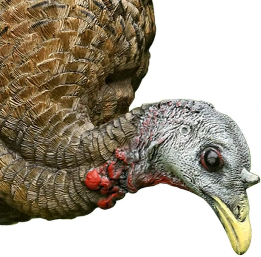Avian-X LCD Feeder Hen & Lookout Hen Turkey Decoy Set (B0D2CP9XPF) — product image 4