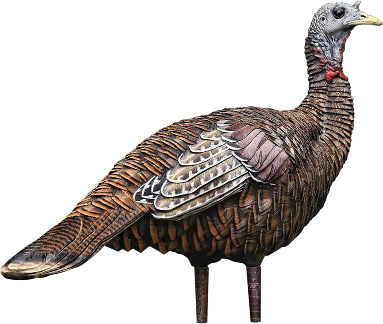 Avian-X LCD Feeder Hen & Lookout Hen Turkey Decoy Set (B0D2CP9XPF) — product image 5