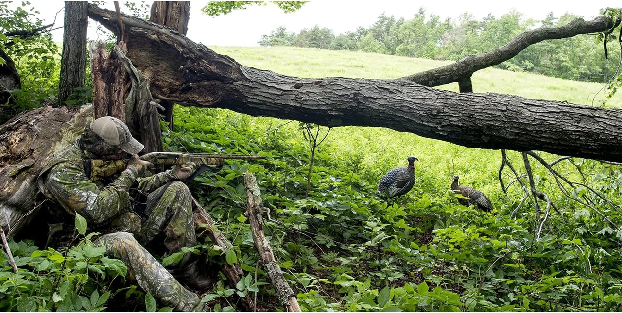 Avian-X LCD Feeder Hen & Lookout Hen Turkey Decoy Set (B0D2CP9XPF) — product image 7