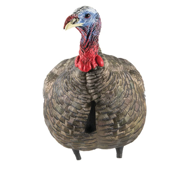 Avian-X LCD Quarter-Strut Jake Turkey Decoy (AVX8003) — product image 3