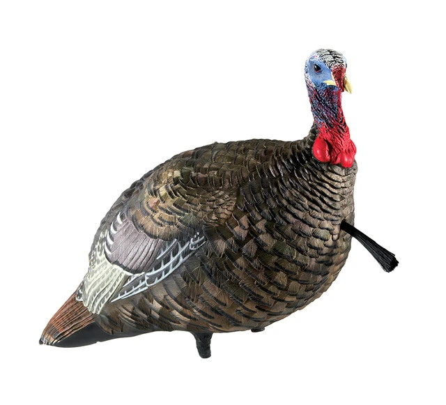 Avian-X LCD Quarter-Strut Jake Turkey Decoy (AVX8003) — product image 4