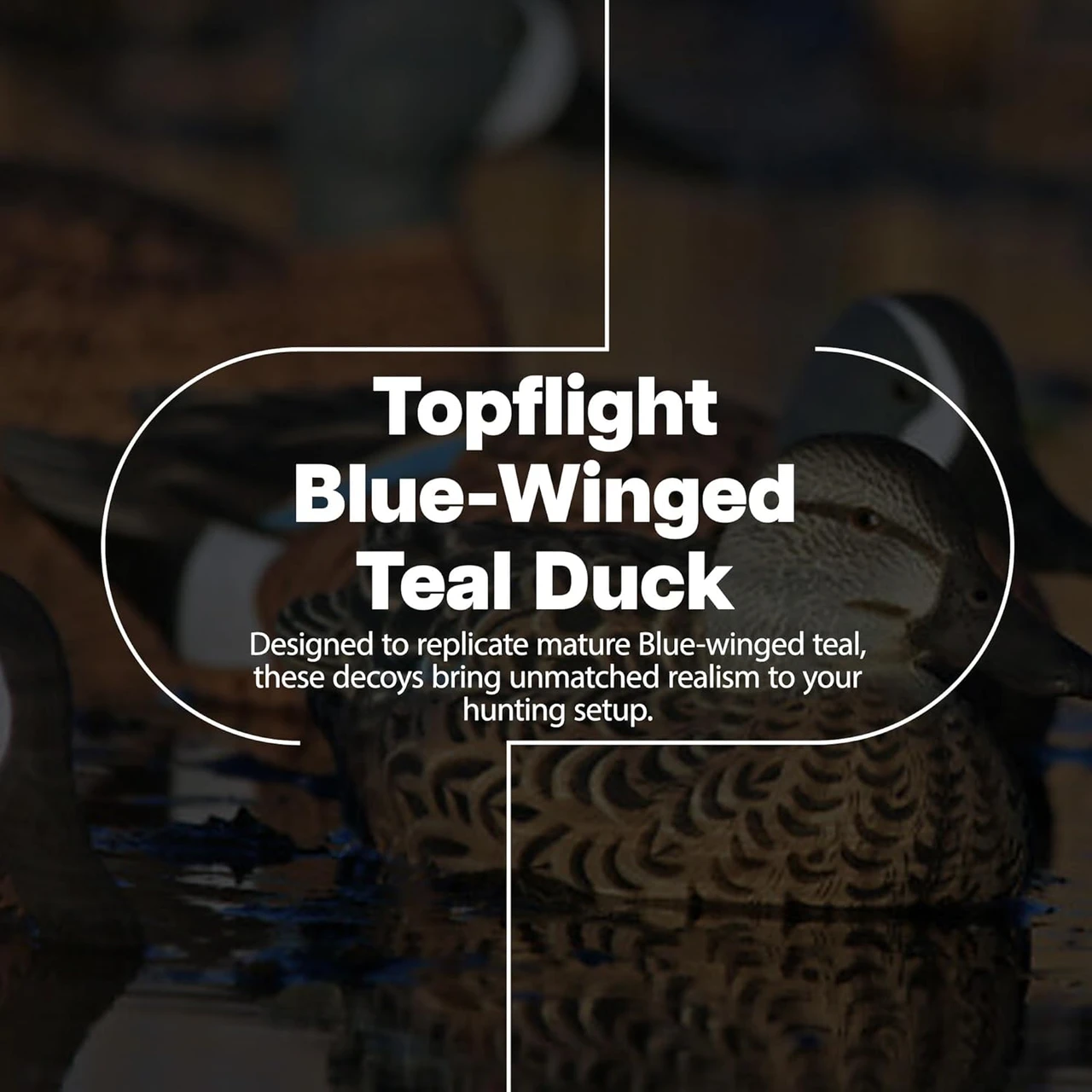 Avian-X Topflight Blue-Winged Teal Floating Duck Decoys 6-Pack (8080) — product image 2