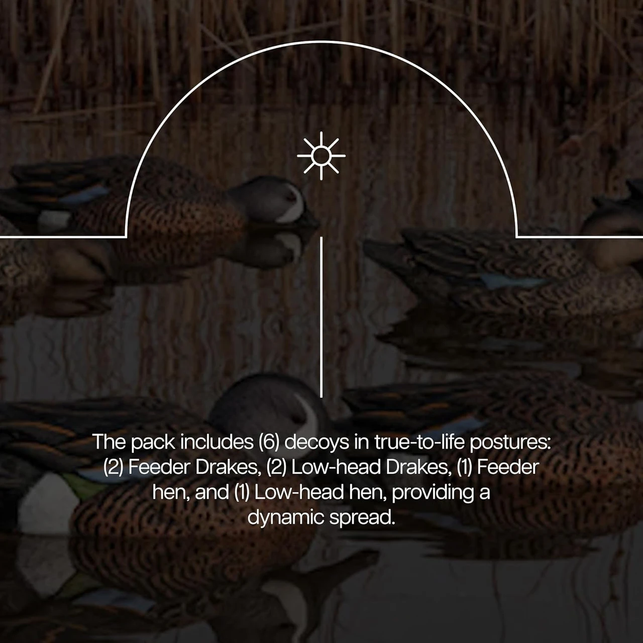 Avian-X Topflight Blue-Winged Teal Floating Duck Decoys 6-Pack (8080) — product image 4