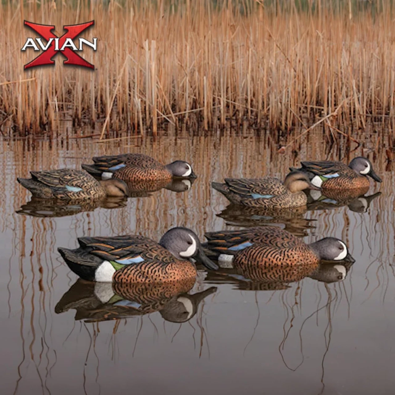 Avian-X Topflight Blue-Winged Teal Floating Duck Decoys 6-Pack (8080) — product image 6