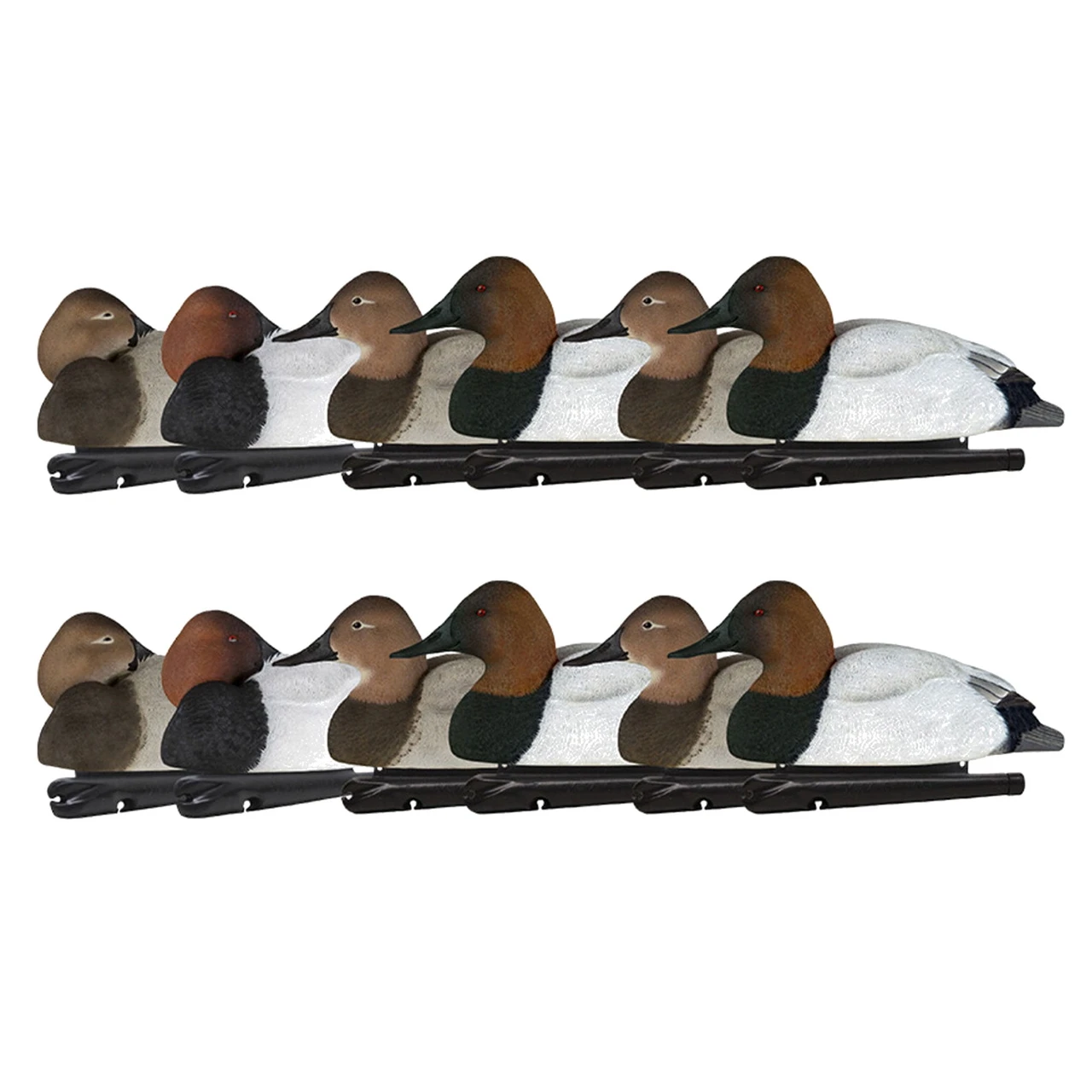 Avian-X Topflight Canvasbacks Decoys Realistic Gray Duck, Set of 12 (AVX8086)