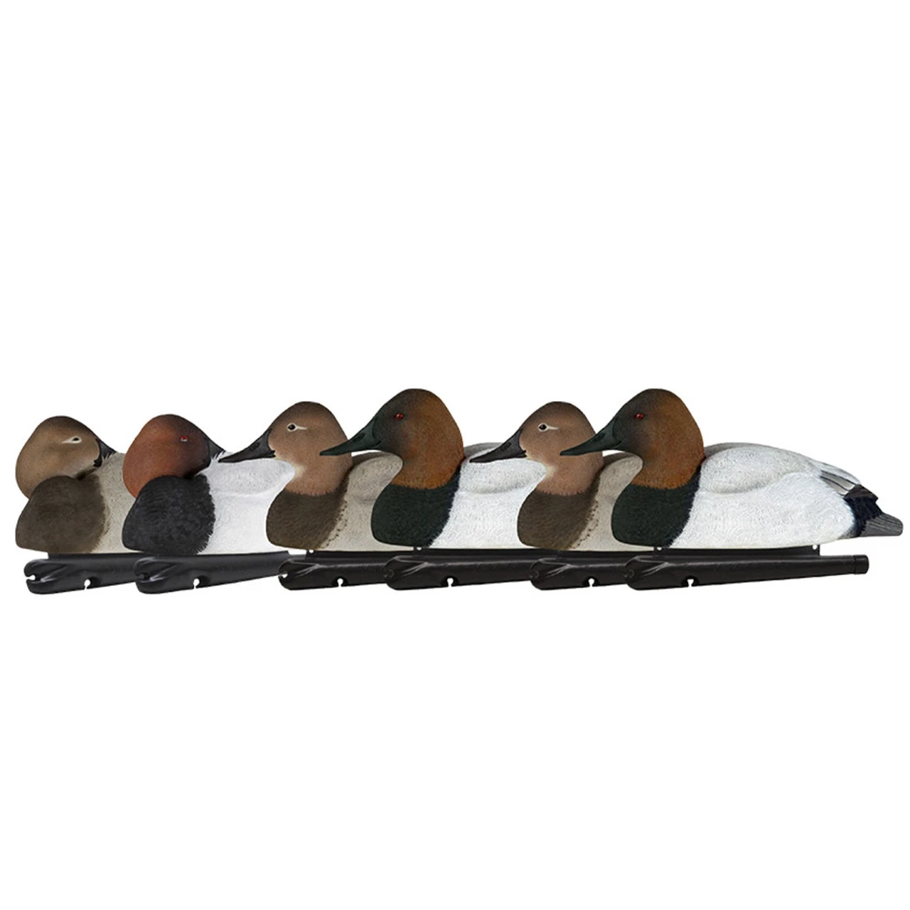 Avian-X Topflight Canvasbacks Decoys Realistic Gray Duck, Set of 12 (AVX8086) — product image 2