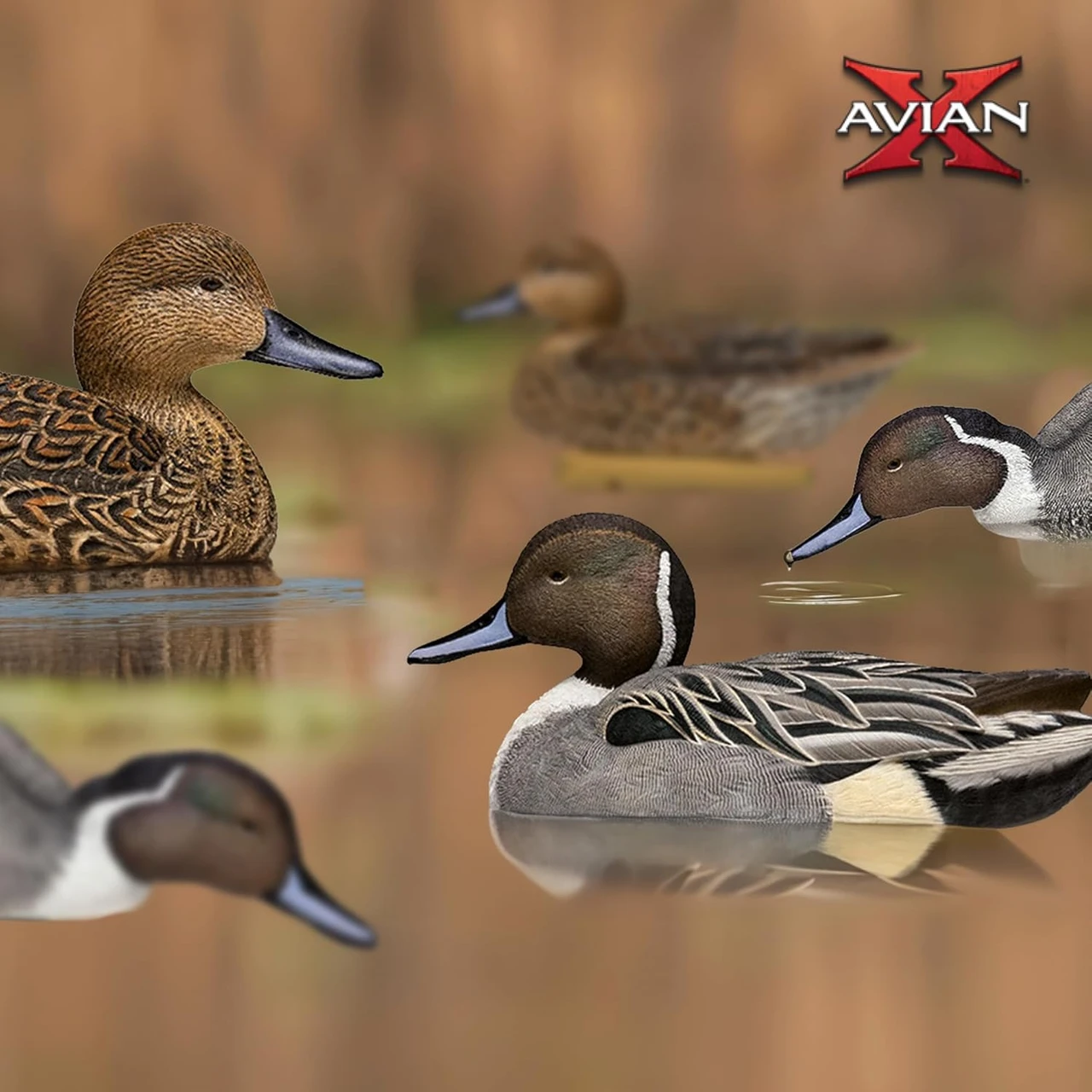 Avian-X Topflight Floating Pintails Hunting Decoys 6-Pack (8082) — product image 2