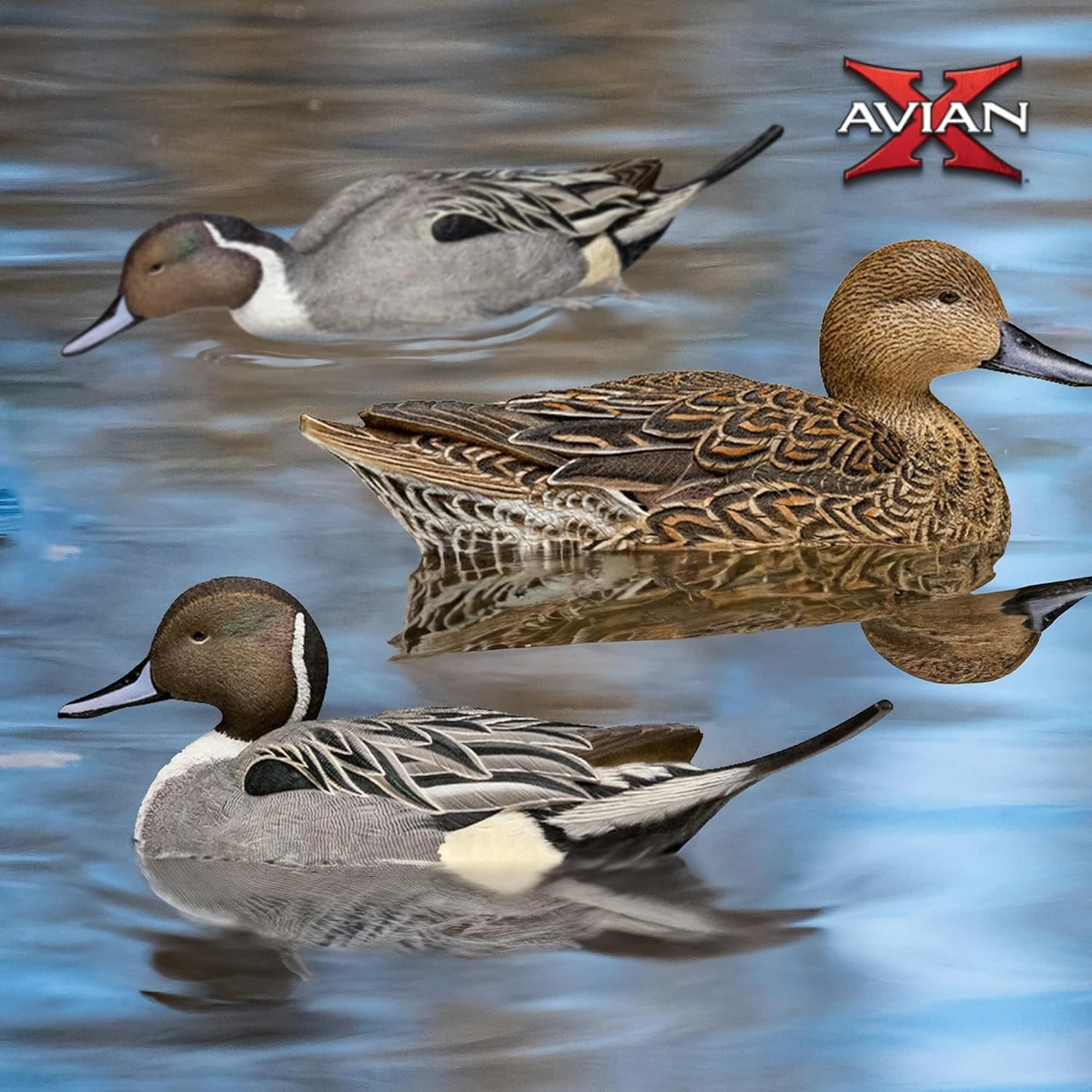 Avian-X Topflight Floating Pintails Hunting Decoys 6-Pack (8082) — product image 3