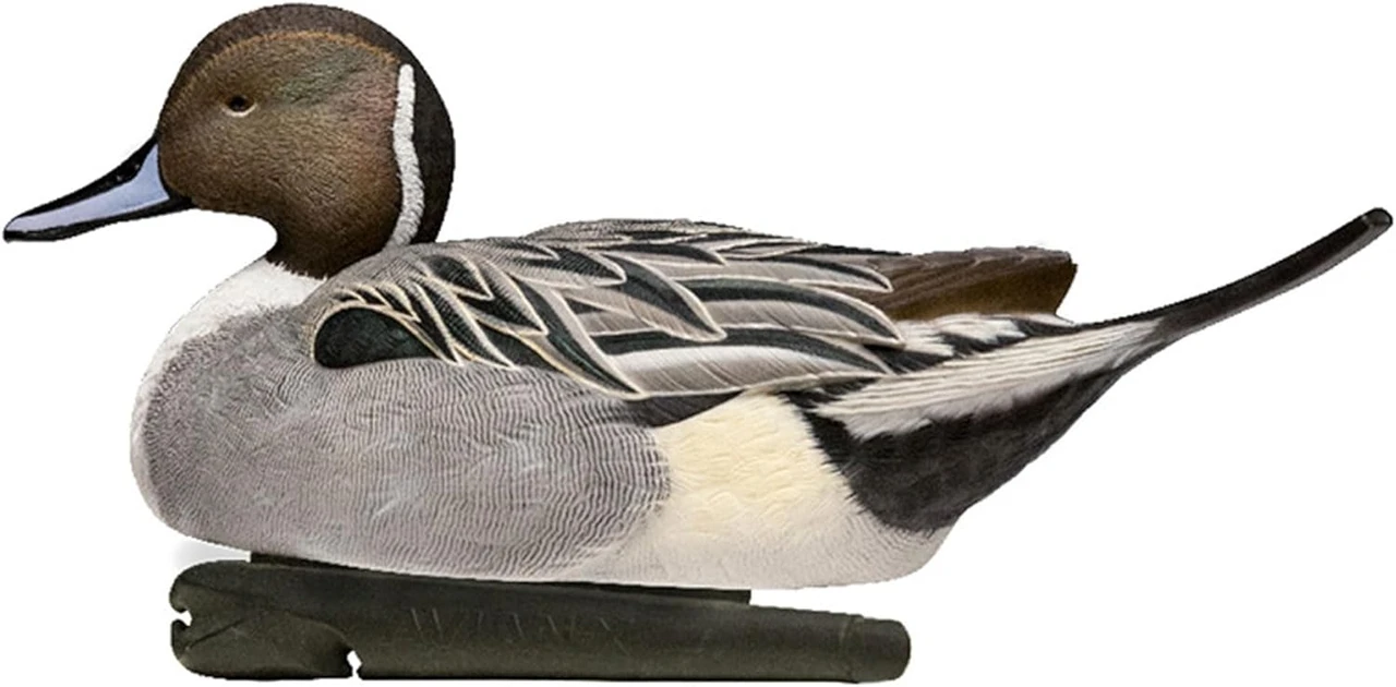 Avian-X Topflight Floating Pintails Hunting Decoys 6-Pack (8082) — product image 4