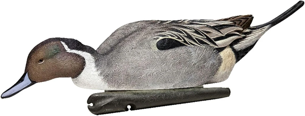 Avian-X Topflight Floating Pintails Hunting Decoys 6-Pack (8082) — product image 5