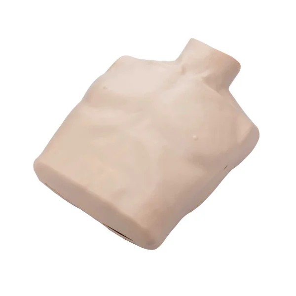 Brayden Manikin Body Skin (IM13-SA02)