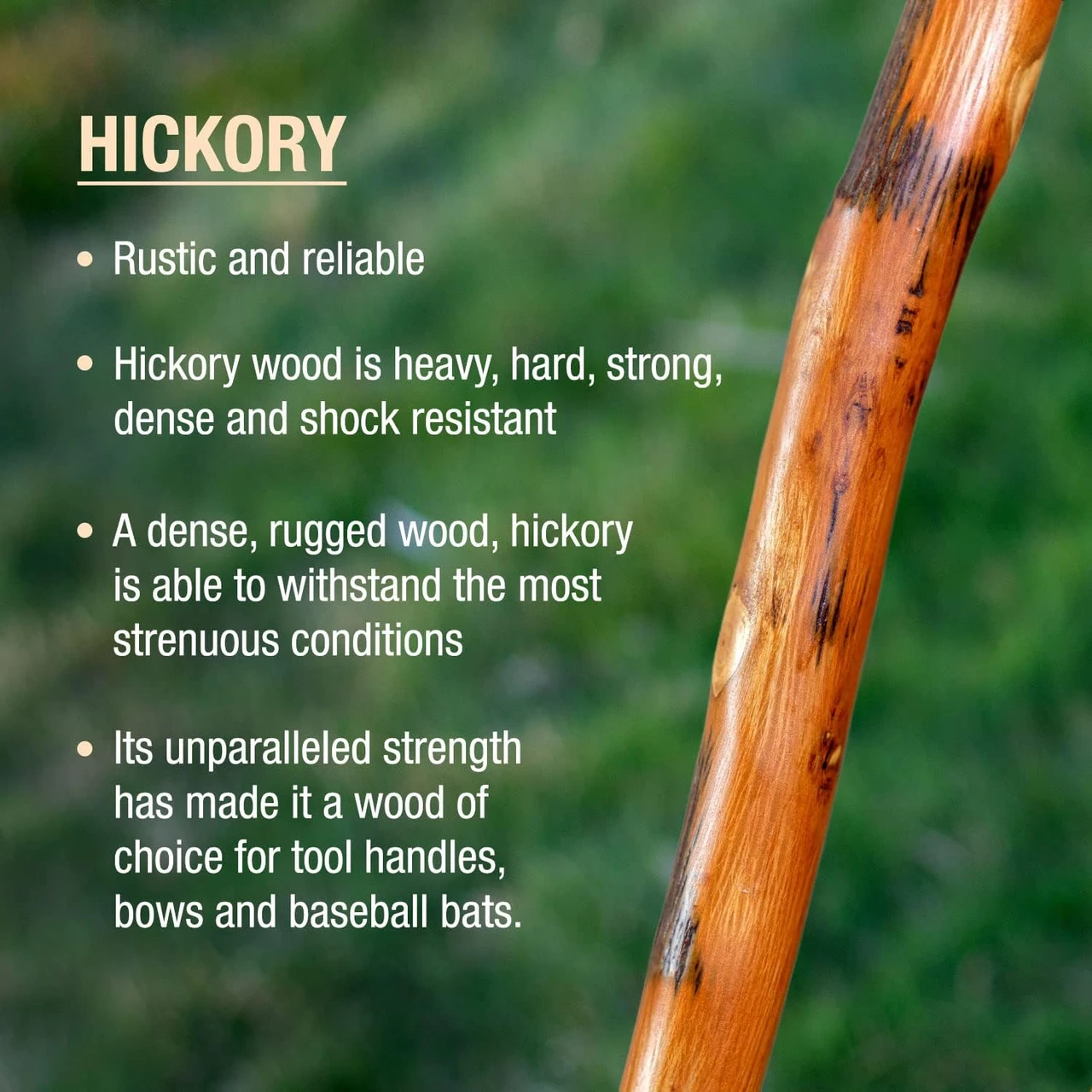 Brazos Exotic Leather Safari Hickory Rustic Walking Stick (602-3000-117) — product image 3