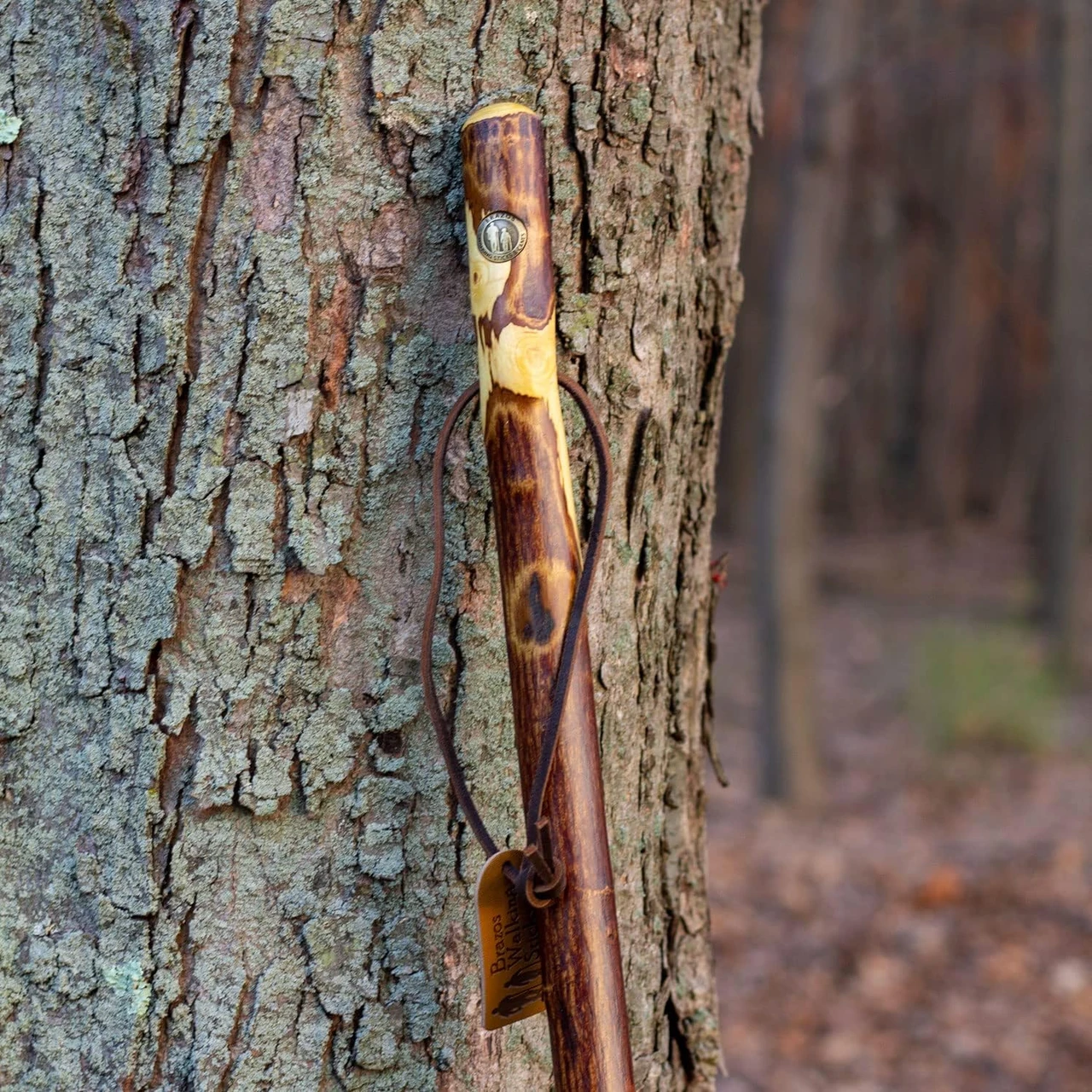 Brazos Hawthorn Rustic Walking Stick (602-3000-113) — product image 2