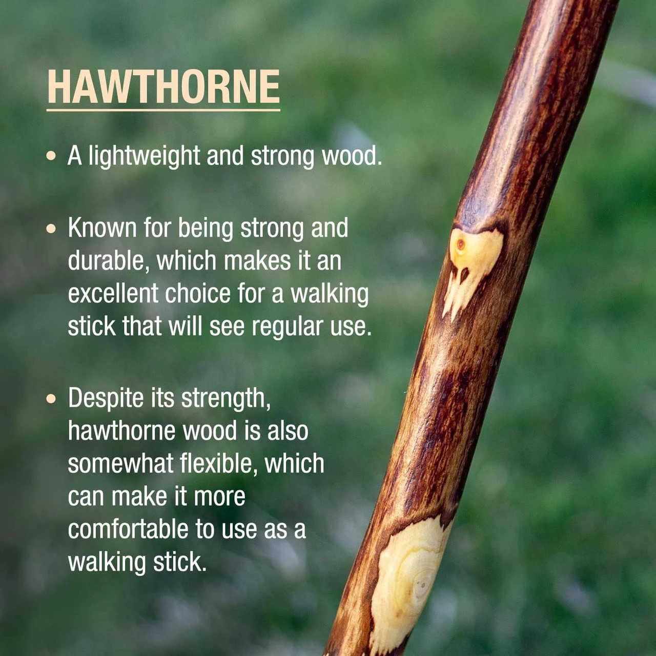 Brazos Hawthorn Rustic Walking Stick (602-3000-113) — product image 3