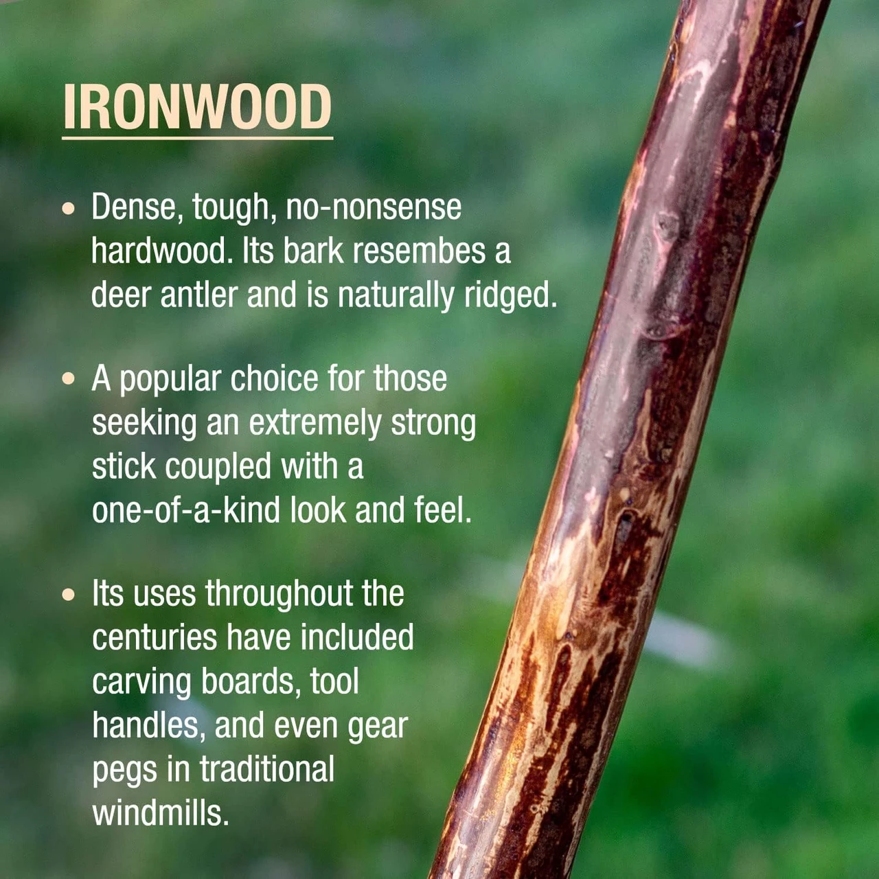 Brazos Ironwood Rustic Walking Stick (602-3000-115) — product image 2