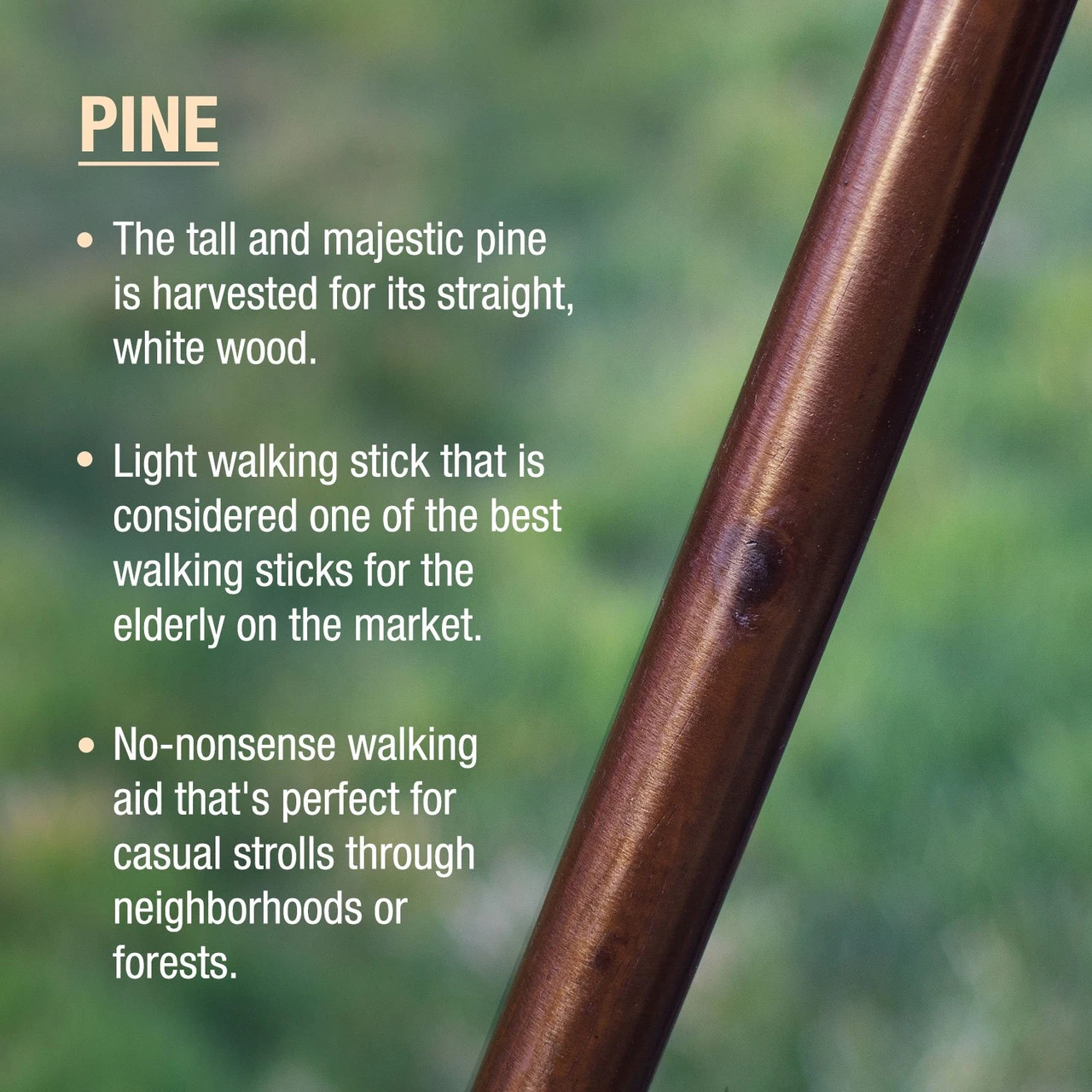 Brazos Traditional Straight Pine Handcrafted Walking Stick (602-3000-123) — product image 2