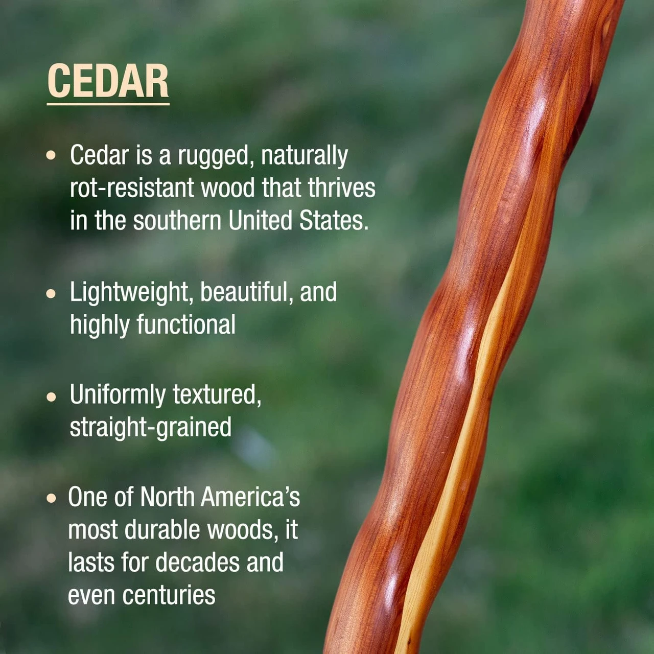 Brazos Twisted Cedar Backpacker Handcrafted Walking Stick (602-3000-125) — product image 3