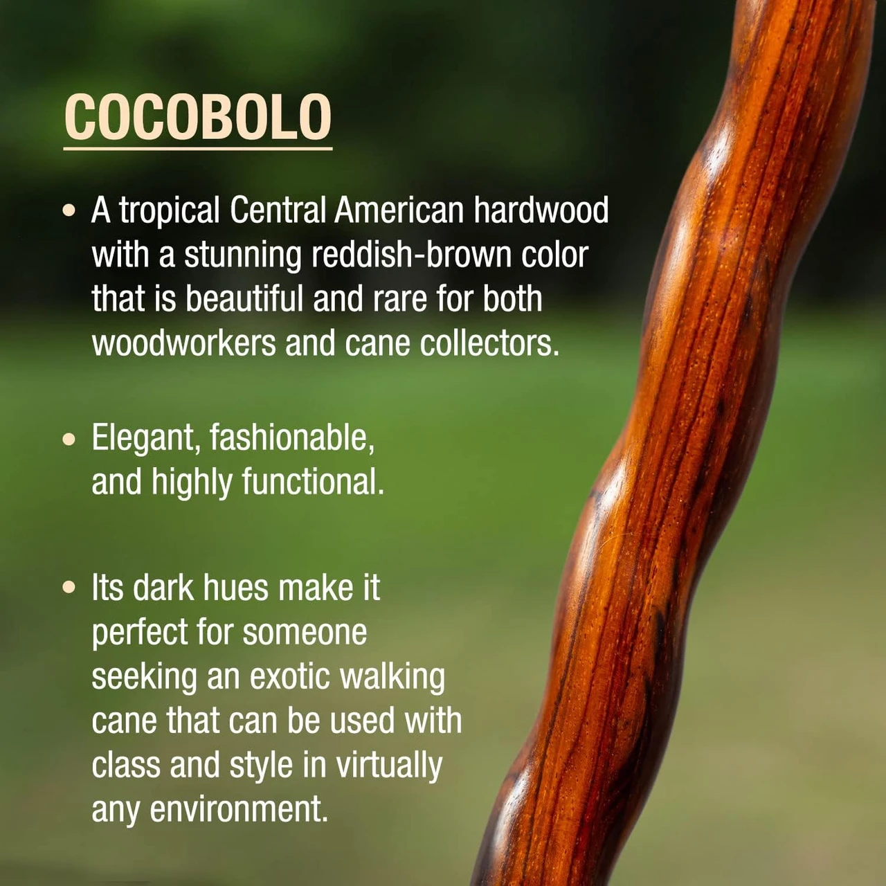 Brazos Twisted Hame Top Handcrafted Walking Cane (502-3000-012) — product image 2