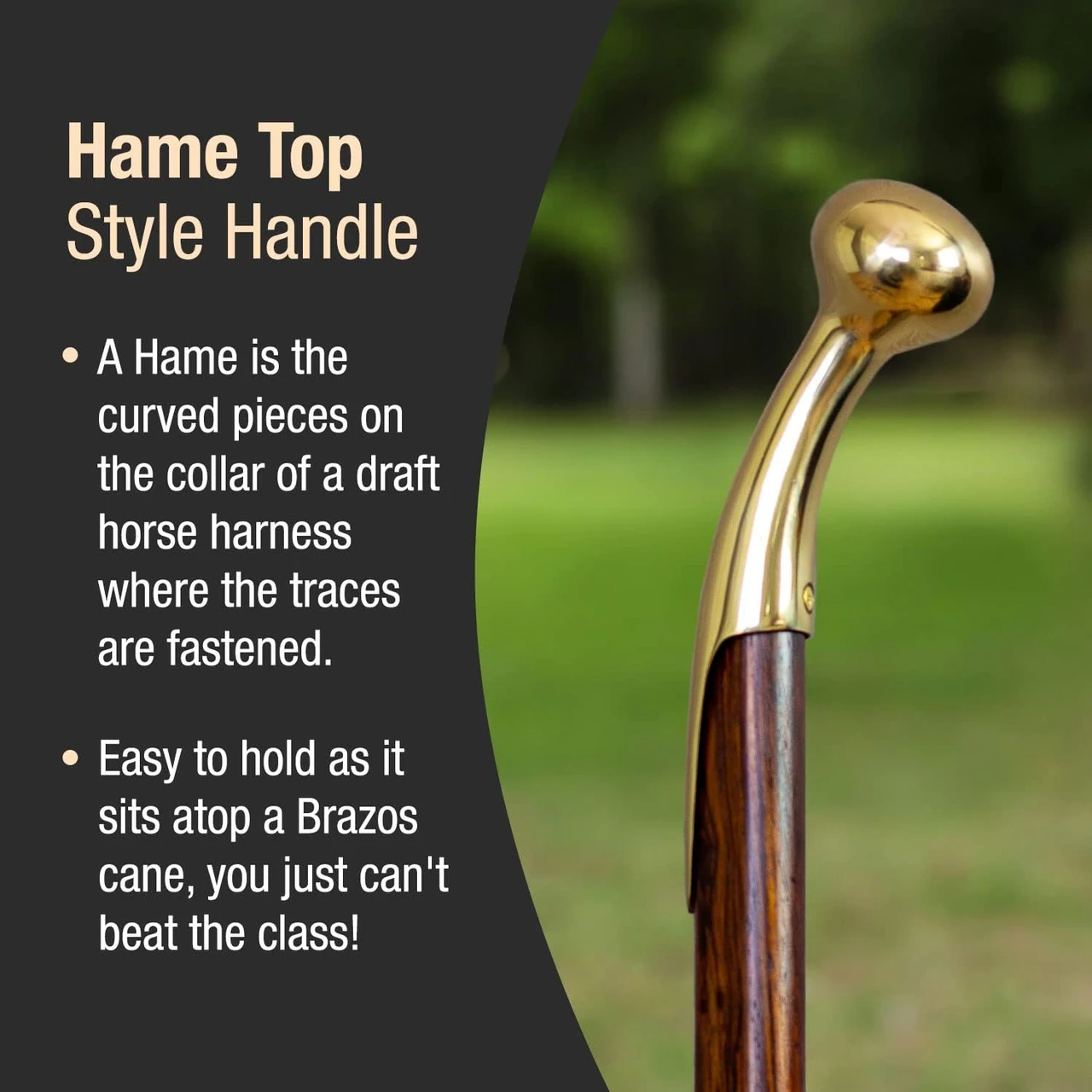 Brazos Twisted Hame Top Handcrafted Walking Cane (502-3000-012) — product image 3
