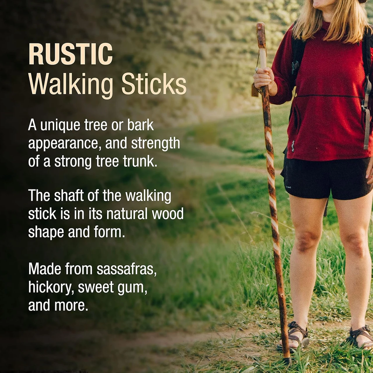Brazos Twisted Hickory Rustic Walking Stick (602-3000-128) — product image 6