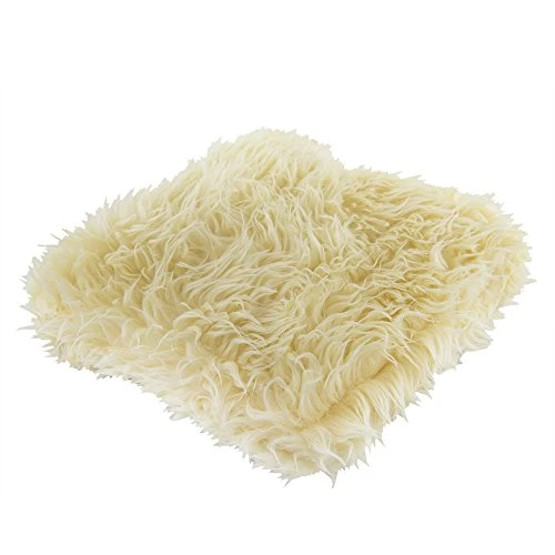 Chemical Guys Bear Claw Wash Mitt & Pad (ACC145)