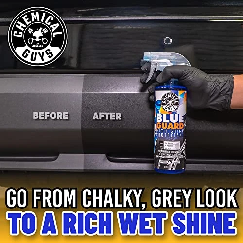 Chemical Guys 16oz Blue Guard II Wet Look Dressing (TVD_103_16) — product image 5