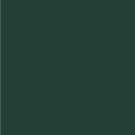 Dupli-Color Magnesium Pearl Chrysler Automotive Paint (BCC0428) — product image 2