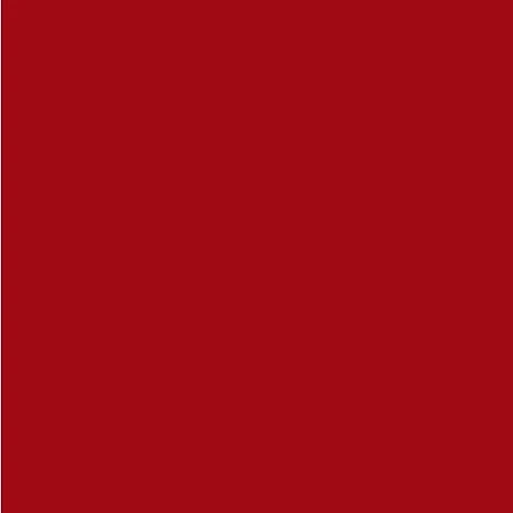 Dupli-Color 8oz Ford Cardinal Red Automotive Spray Paint (BFM0306) — product image 2