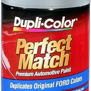Dupli-Color 8 oz Ford Silver Metallic Automotive Spray Paint (BFM0383)