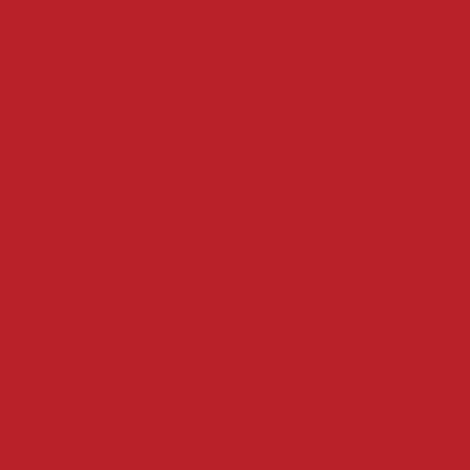Dupli-Color 8oz GM Medium Garnet Red Automotive Paint (BGM0380) — product image 2