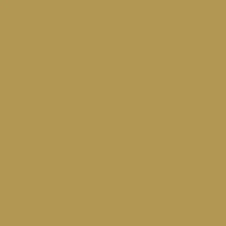 Dupli-Color 8 oz. GM Gold Metallic Automotive Paint (BGM0491) — product image 2