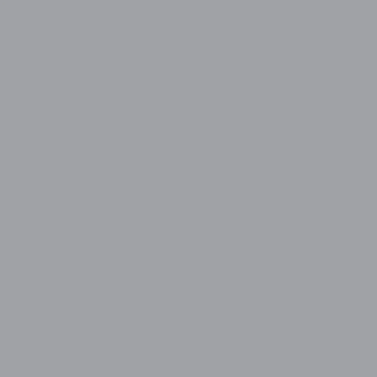 Dupli-Color 8oz GM Gray Metallic Automotive Spray Paint (BGM0534) — product image 2
