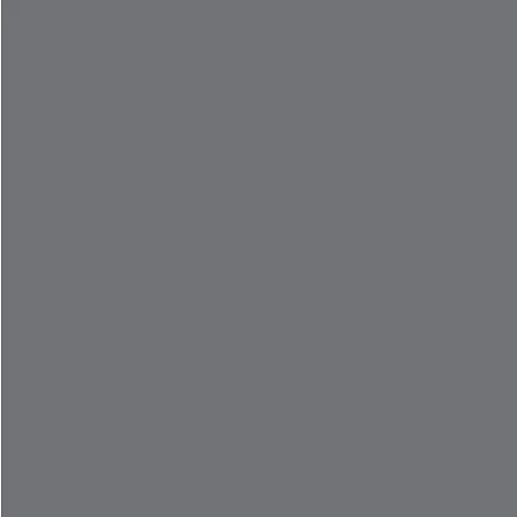 Dupli-Color 8oz Nissan Precision Gray Automotive Spray Paint (BNS0604) — product image 2