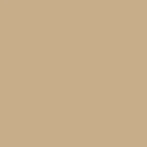 Dupli-Color 12oz Cummins Beige Engine Enamel Spray Paint (DE1638) — product image 2