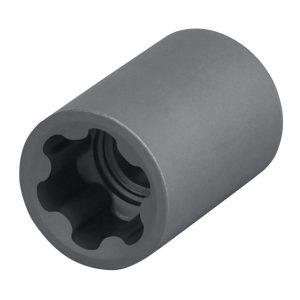 External Torx PLUS Socket